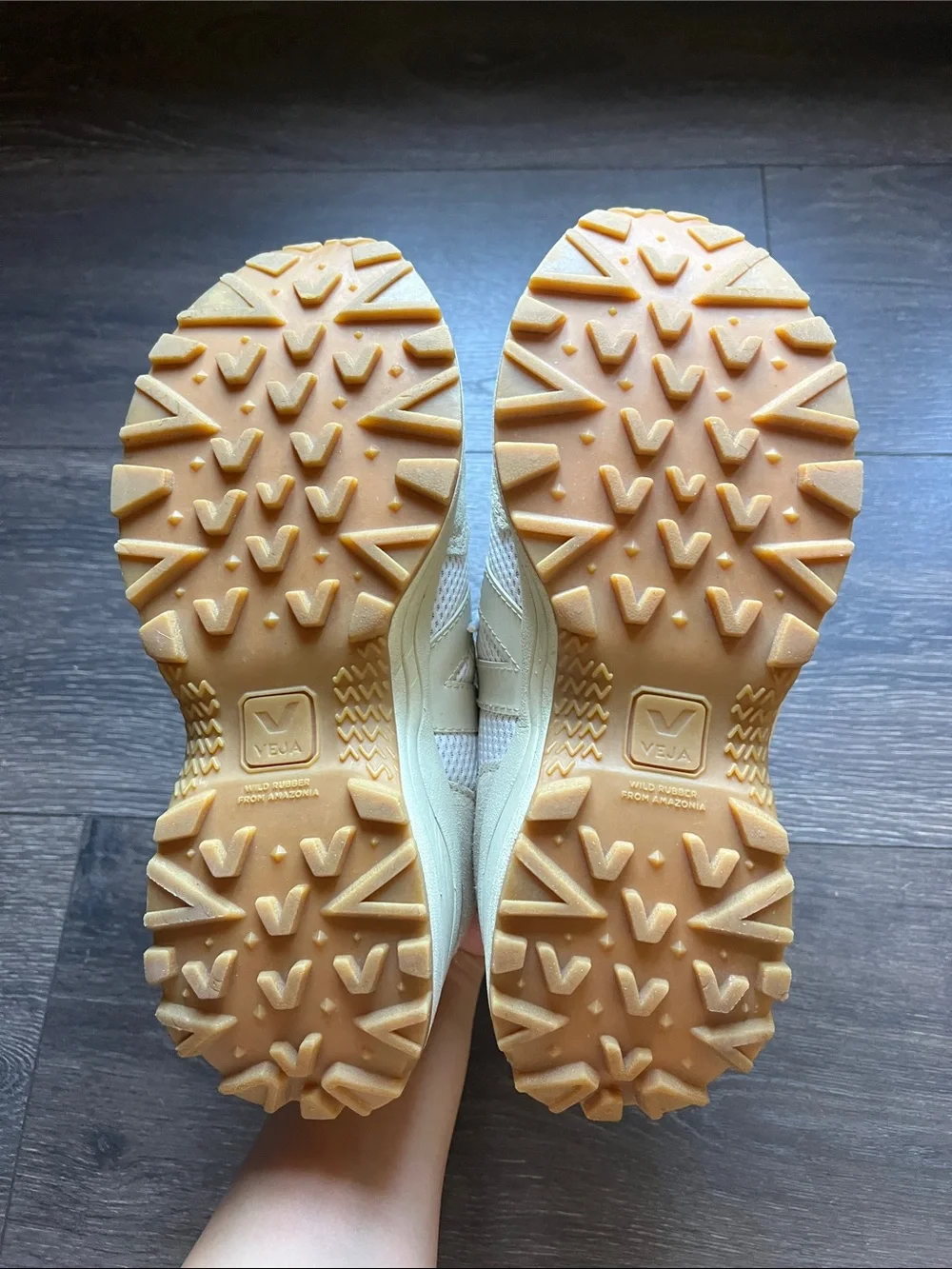 Veja Venturi Shoes